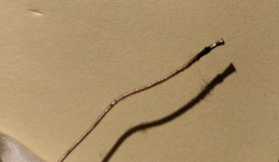 Check out that tinning! Check out that tinning!